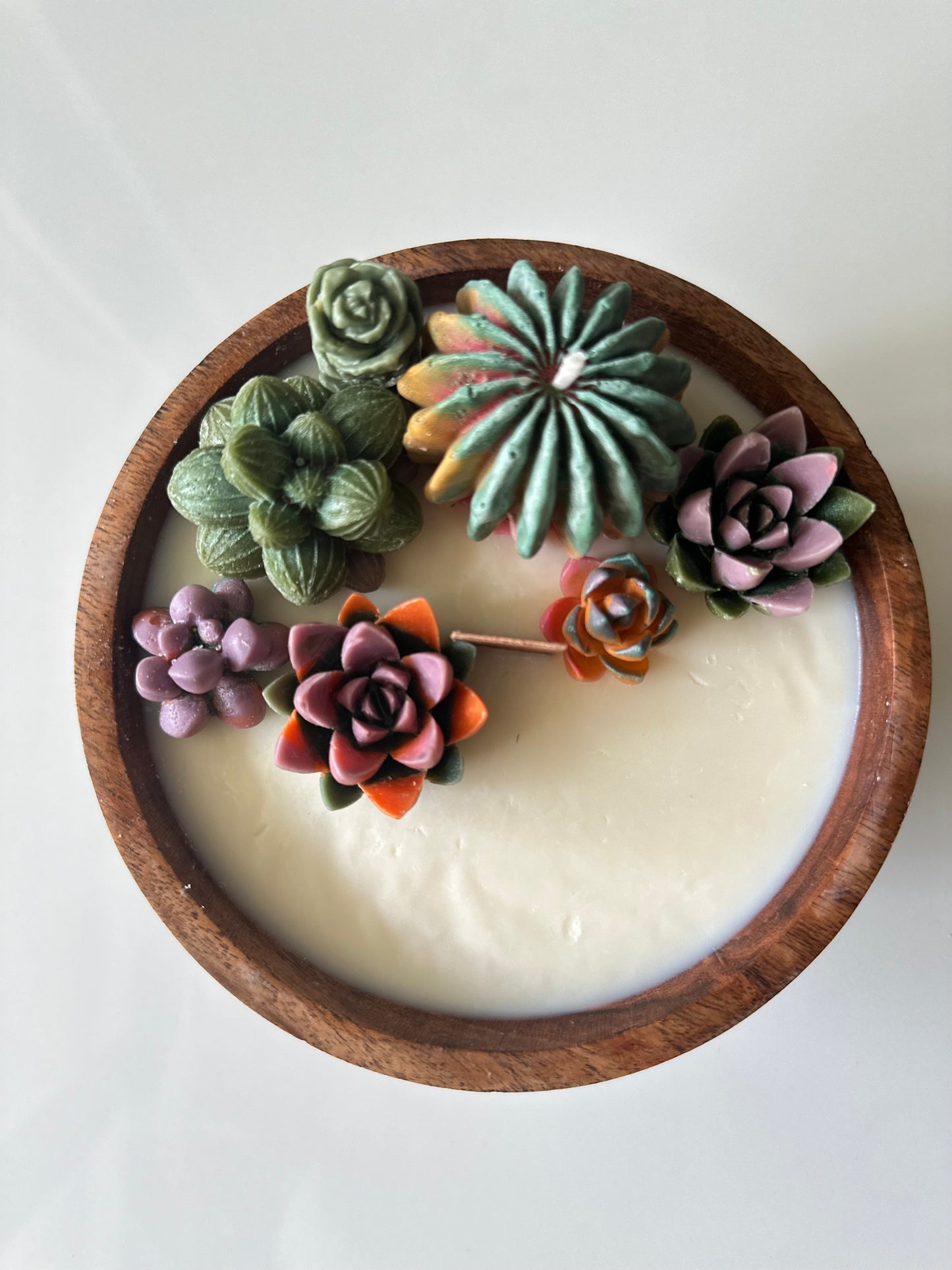 SUCCULENT CACTUS CANDLE with Refreshing Citrus Scent Botanical Candle Soy Wax