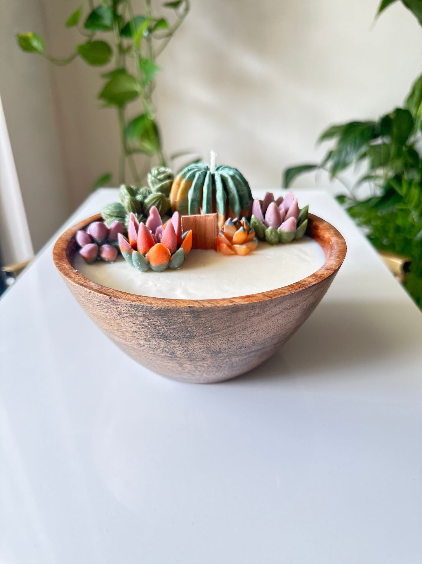 SUCCULENT CACTUS CANDLE with Refreshing Citrus Scent Botanical Candle Soy Wax